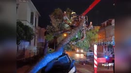 Firemen clear fallen trees storm damage in Italy