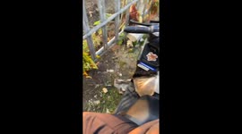 Snake found on a bike in Ponjong, Indonesia