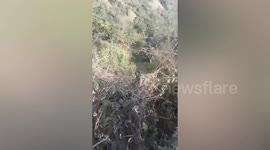 Bus plunges into ravine killing four in India