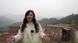Discovering rural delights, Hakka snacks boost rural tourism