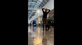 Shopping Mall Dance Dog Training