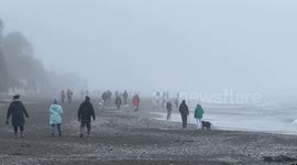 Swimmers and dog walkers take to the beach on a misty Boxing Day in Downderry, Cornwall, UK