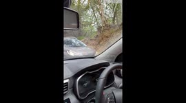 A lot of oncoming traffic on a very narrow road in Southern England.