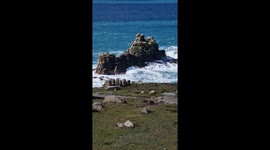 Waves crashing against
