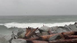 Canada: Wind Storm Hits Southern British Columbia On Christmas Day