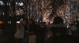 Marunouchi Illumination 2024: Tokyo’s Winter Wonderland Powered by Sustainable Energy
