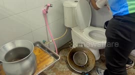 Shocked husband finds massive cobra sleeping behind his toilet