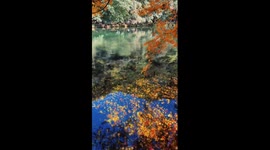 Red maple leaves form stunning autumn scenery in China
