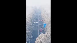 Dreamlike rime scenery in China's Altay