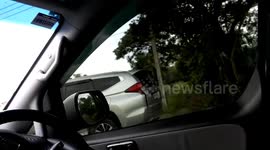 Thai cop disguises himself as a bush to catch suspected child rapist