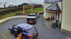 Hilarious footage shows dog stealing a turkey crown out of a car