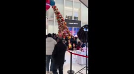 Excited mallgoers loot 'presents' from Christmas tree in China