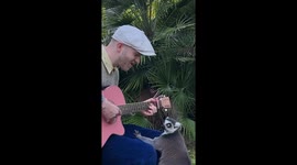 Musician sings and plays guitar for lemurs in La Teste-de-Buch, France