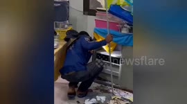 Huge cobra caught inside nursery school after floods