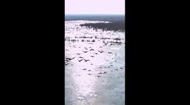 Xinjiang's Shache: winter haven for migratory birds