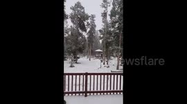 US: Parts Of Colorado See White Christmas