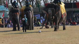 Elephant festival in Nepal's famous wildlife tourism destination Sauraha, Chitwan
