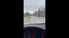Post Thanksgiving Turkey out for Vengeance