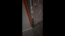 Pet cat asks owner for company during midnight snack in Guizhou, China