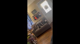 Grinch steals presents in Savannah, Tennessee home