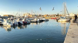 Wide shot of the Darsena with moored boats and many seagulls flying on a warm and sunny December day in Fiumicino.