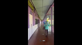 Wild monkeys scare teachers as they search school for food