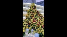 Ice-themed yellow rose display attracts crowds in NE China