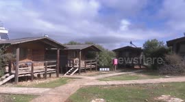 A visit to Ajloun Forest Reserve in Jordan
