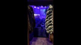Inside the Closet: Prague’s Hidden Christmas Cinema