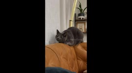 Derp Coming For the Hand Monster