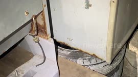 Pet cat alerts owner to cobra lurking under the fridge