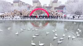 China: Winter Swimming