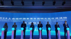 Int'l youth experience intangible cultural heritage in China