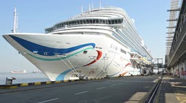 China's first homegrown large cruise ship receives 600,000 tourists