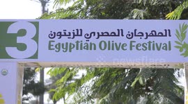 Egyptian Olive Festival 2024 held in Cairo