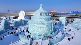 China's Harbin welcomes foreign visitors amid winter tourism boom