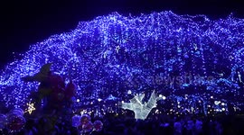 Mother of all Christmas trees - 200 Year Old Ancient Rain Tree became a Christmas icon of Fort Kochi in kerala