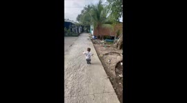 Child approaches goose in Can Tho, chased moments later