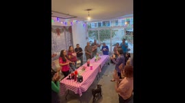 Christmas Party Interrupted by Frisky Dogs