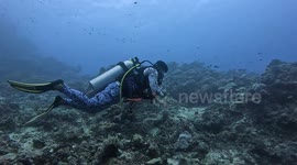 Bored Scuba Diver Plays With Plastic Bottle