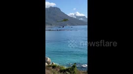 South Africa: Fire Erupts On Table Mountain, Arson Suspects Arrested