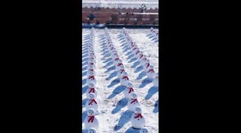 800 snowmen steal winter spotlight in China's Harbin