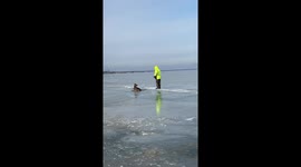 Husband Saves Two Deer Trapped on Frozen Lake