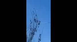 I did a psychic reading on Friday and was told I had been being watched by the Annunaki  all of my life etc. Well the next morning I went on my front porch to drink my coffee and smoke my cigar per usual for a day off from work. I looked out into the sky