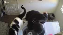 Cat Wants to Help With Laundry