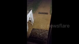 US: Severe Storms Slam D.C. Area On New Year’s Eve