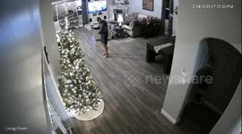 Person playing VR hits wall and knocks over Christmas tree in Bakersfield, California