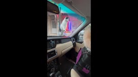 Stray cat shocked by parrot's performance in İstanbul