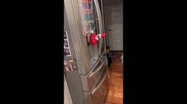 When You Let Your Kids Move the Elf on the Shelf