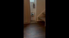 Fat Cat, Small Door